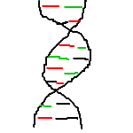 DNA