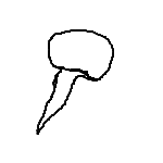 nail